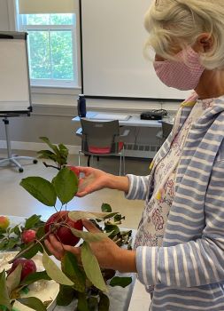 Examining the specimen for composition.