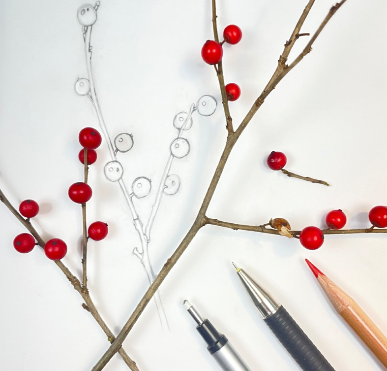 A New Year message for botanical artists with berries
