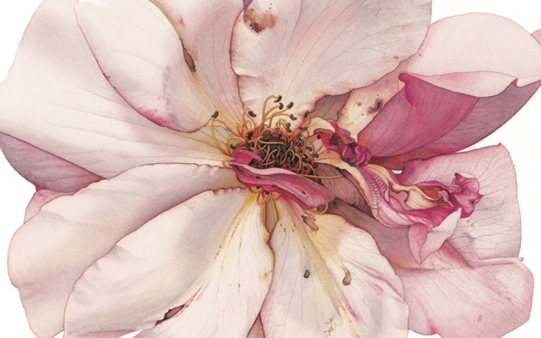 Watercolour: simplicity and style in small spaces