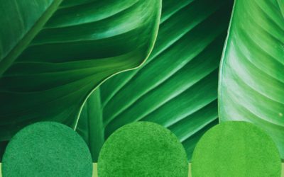 Green: source versus screen