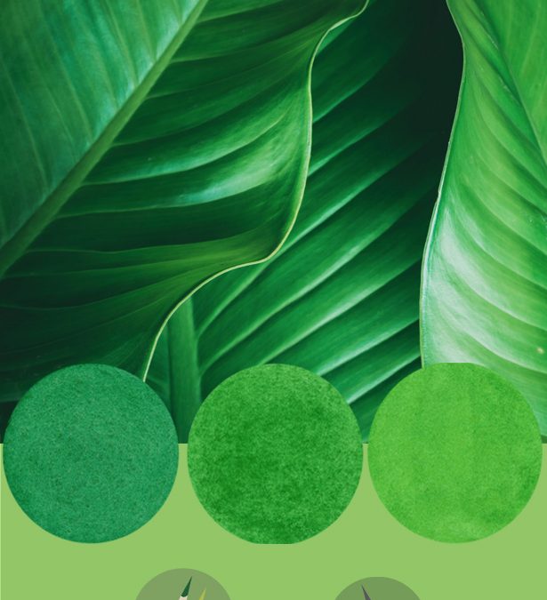 Green: source versus screen