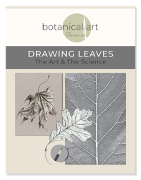 Drawing Leaves - The Art & The Science