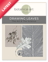 Drawing Leaves - The Art & The Science