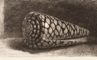 The value of drawing