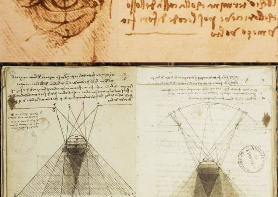 Leonardo – The science and the art of seeing
