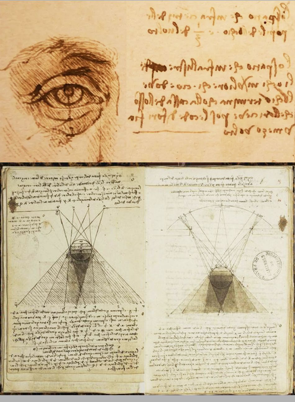 Screenshot Shadow drawings from Leonardo da Vinci's notebook - Bibliotheque de l'Institute in Paris