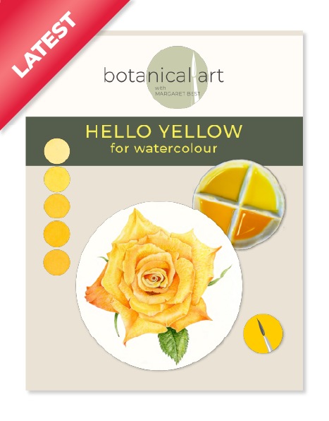 Hello Yellow for watercolour