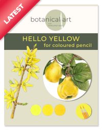 Hello Yellow for coloured pencil
